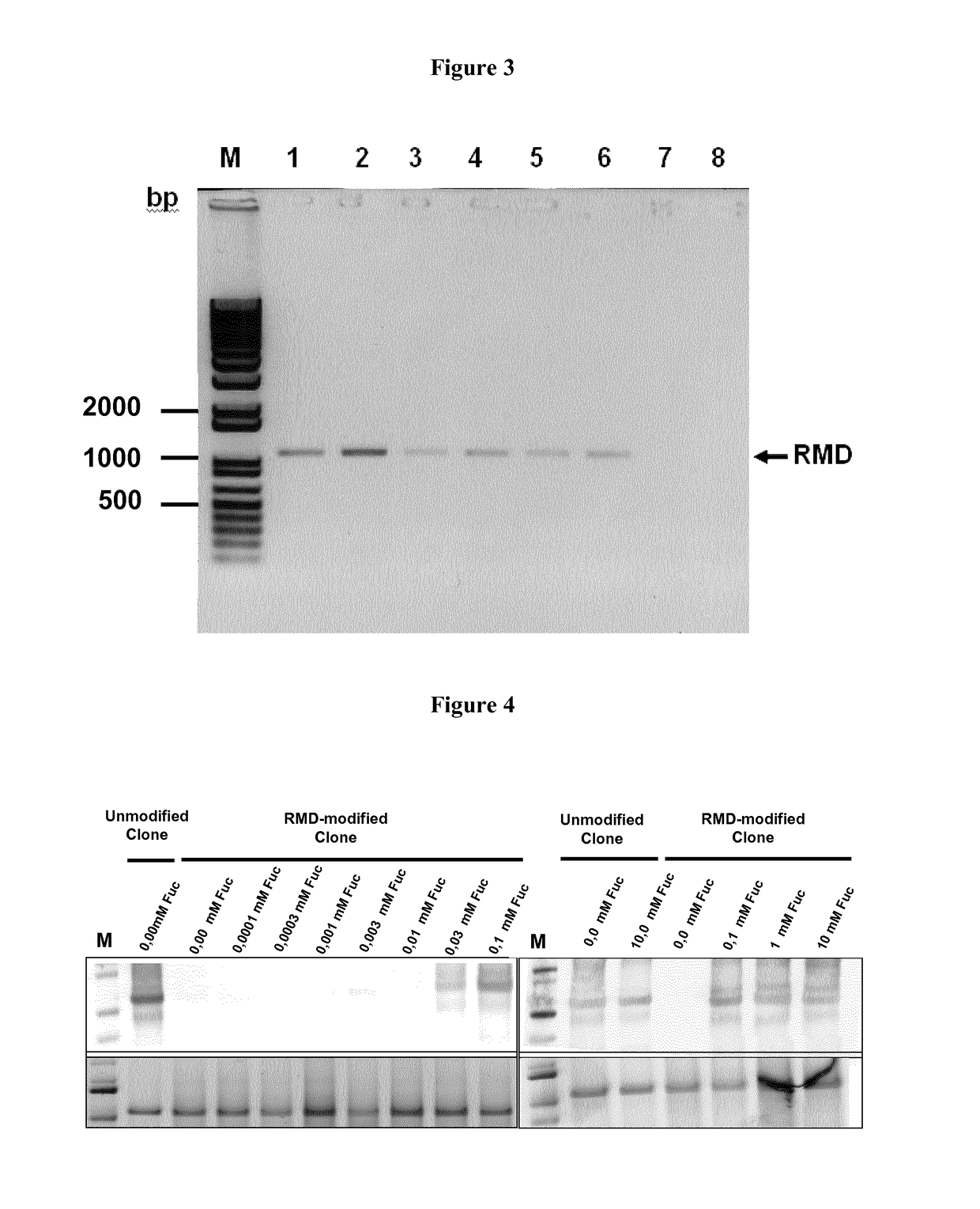 Methods for preparation of fucose-linked site specific conjugates of proteins with toxins, adjuvants, detection labels and pharmacokinetic half life extenders