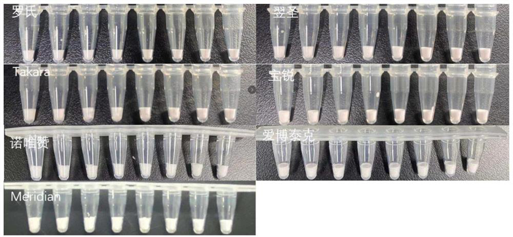 Freeze-drying protective agent, fluorescent PCR detection kit and freeze-drying process