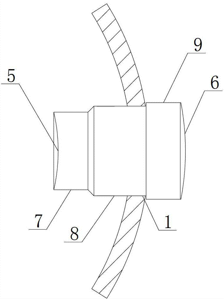 Artificial cornea