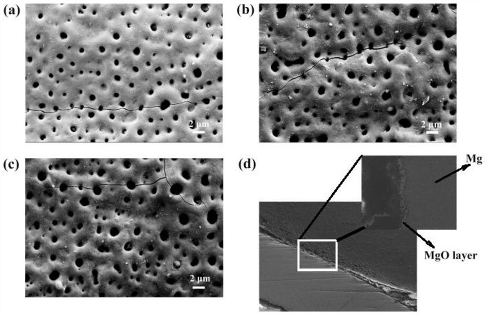 A kind of substrate material, Raman surface enhancement substrate, preparation method, application