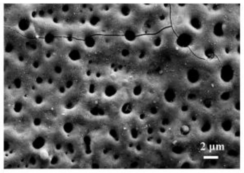 A kind of substrate material, Raman surface enhancement substrate, preparation method, application