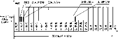 Method and device for time synchronization and frequency synchronization of LTE system