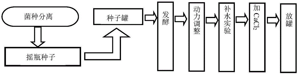 Novel bio-fermentation method of streptomycin