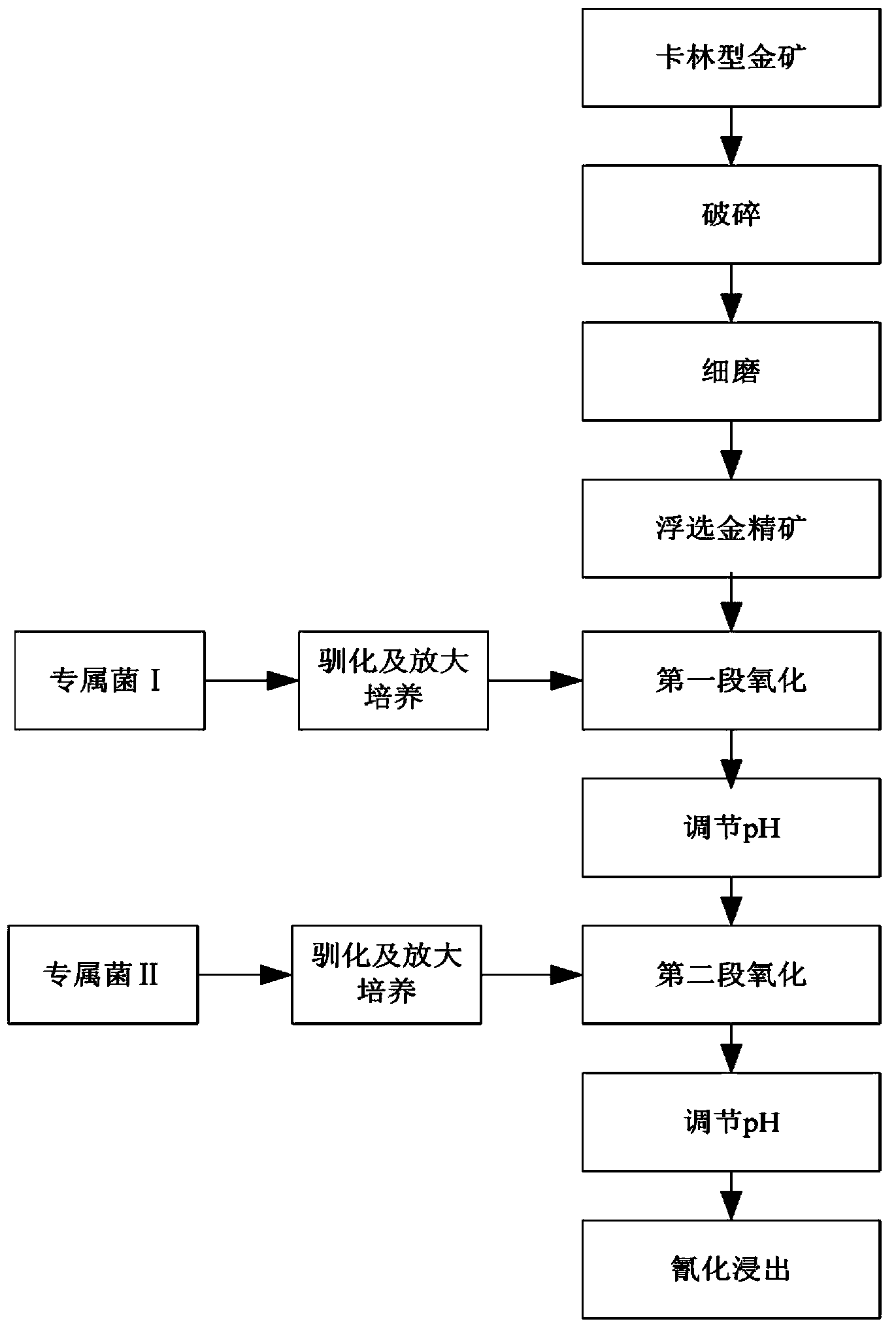 Two-stage biological pre-oxidation gold extraction process for Carlin-type gold deposit by two exclusive ore-leaching bacteria