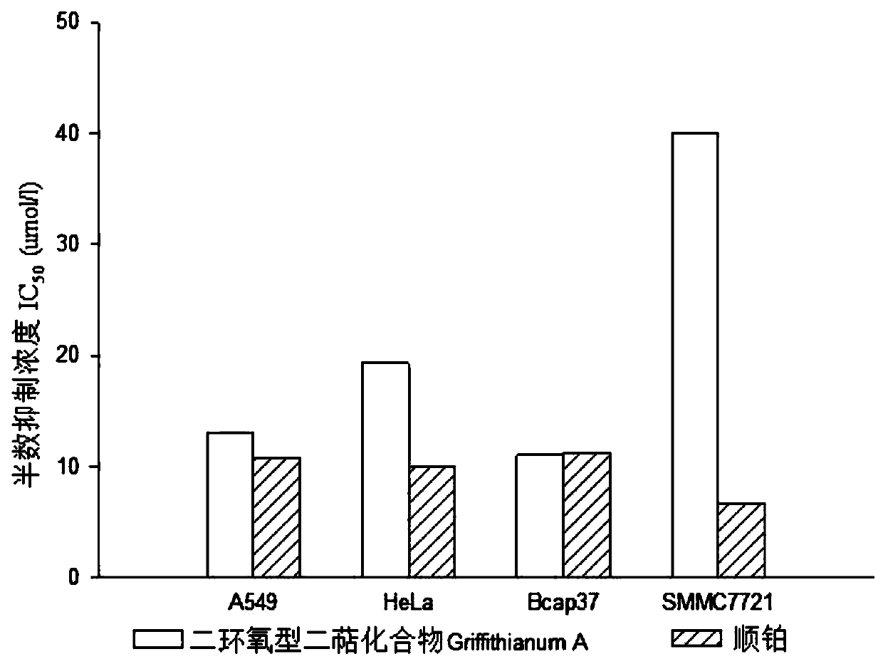 Diepoxy diterpene compound with anti-tumor effect as well as preparation method and application thereof