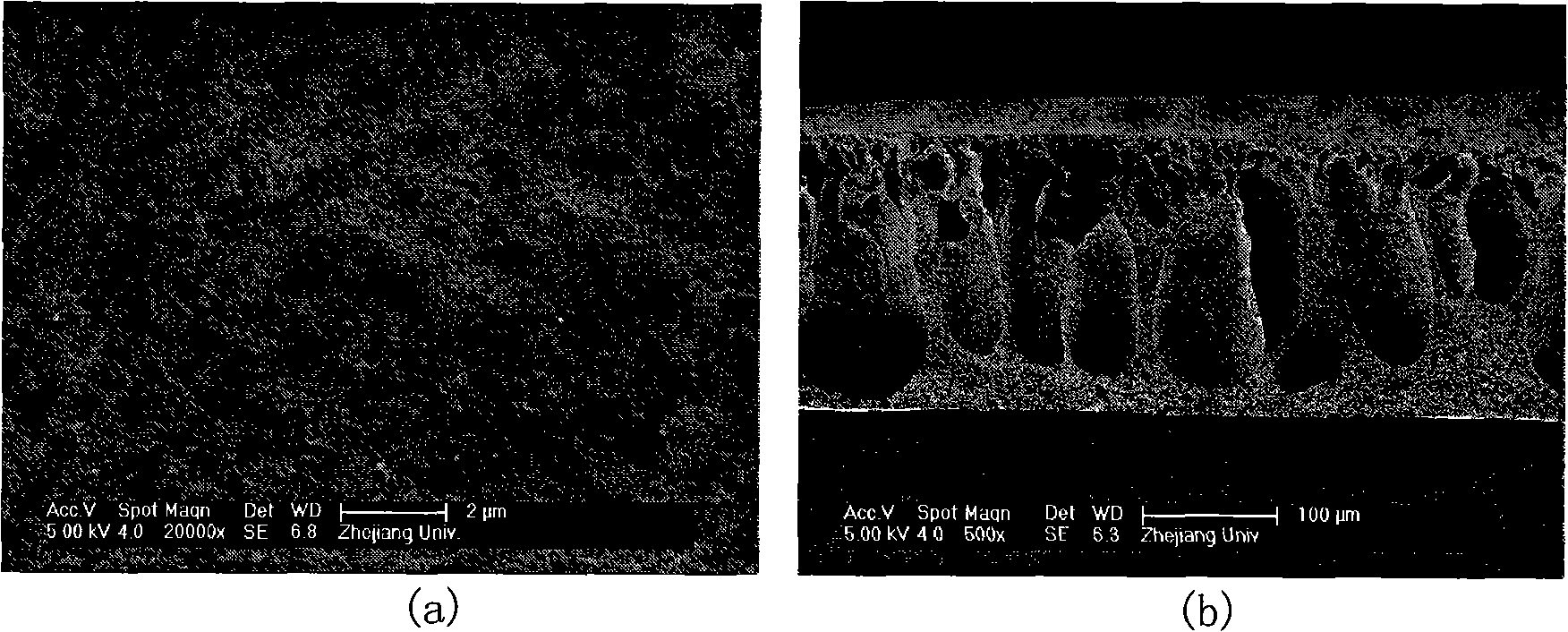 Preparation method of cellulose acetate nano filter-membrane