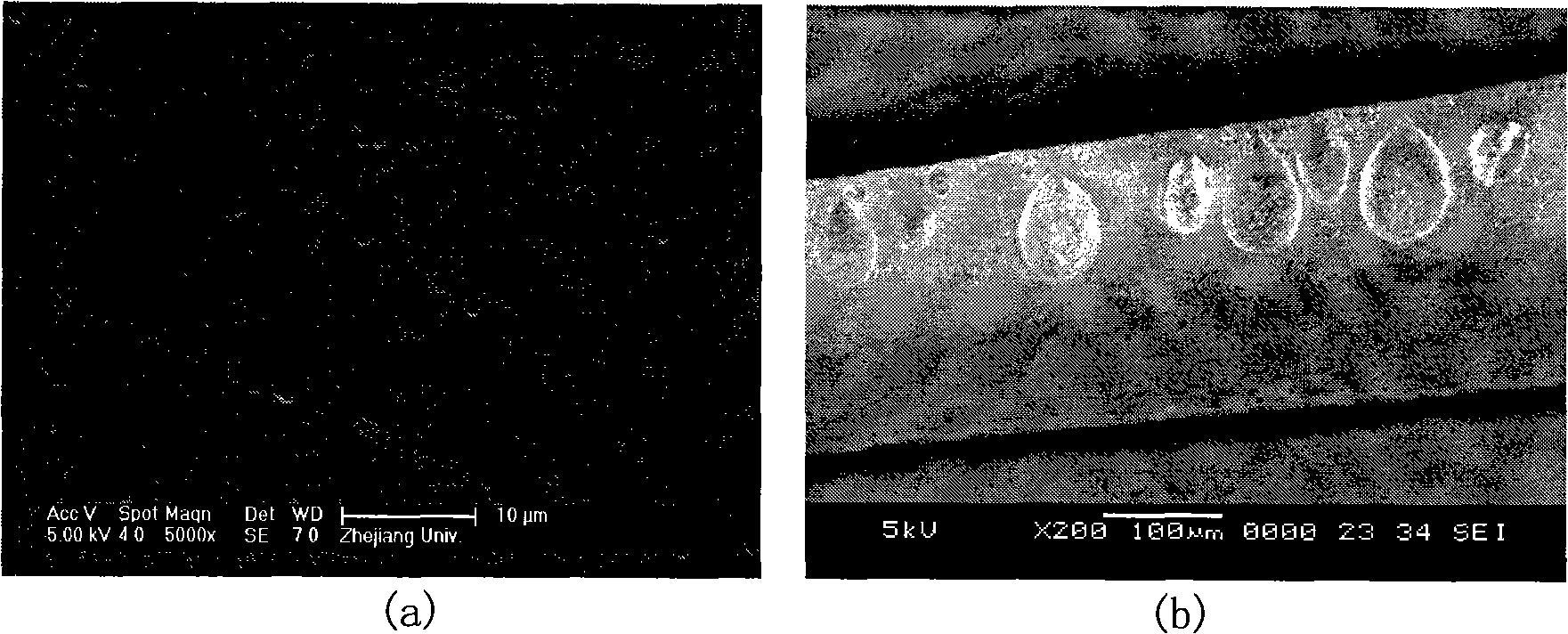 Preparation method of cellulose acetate nano filter-membrane