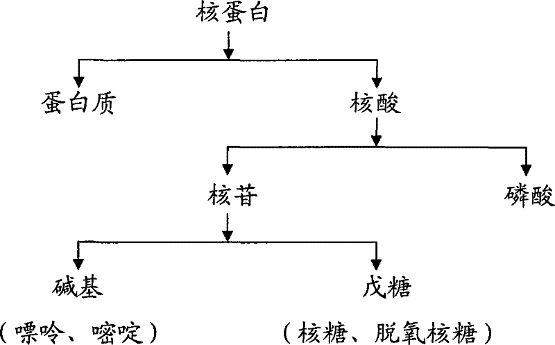 Cancer treating medical composition, preparation and uses thereof