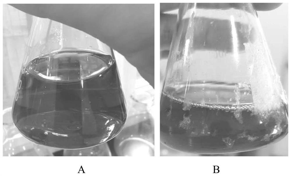 Ginkgolide extraction process