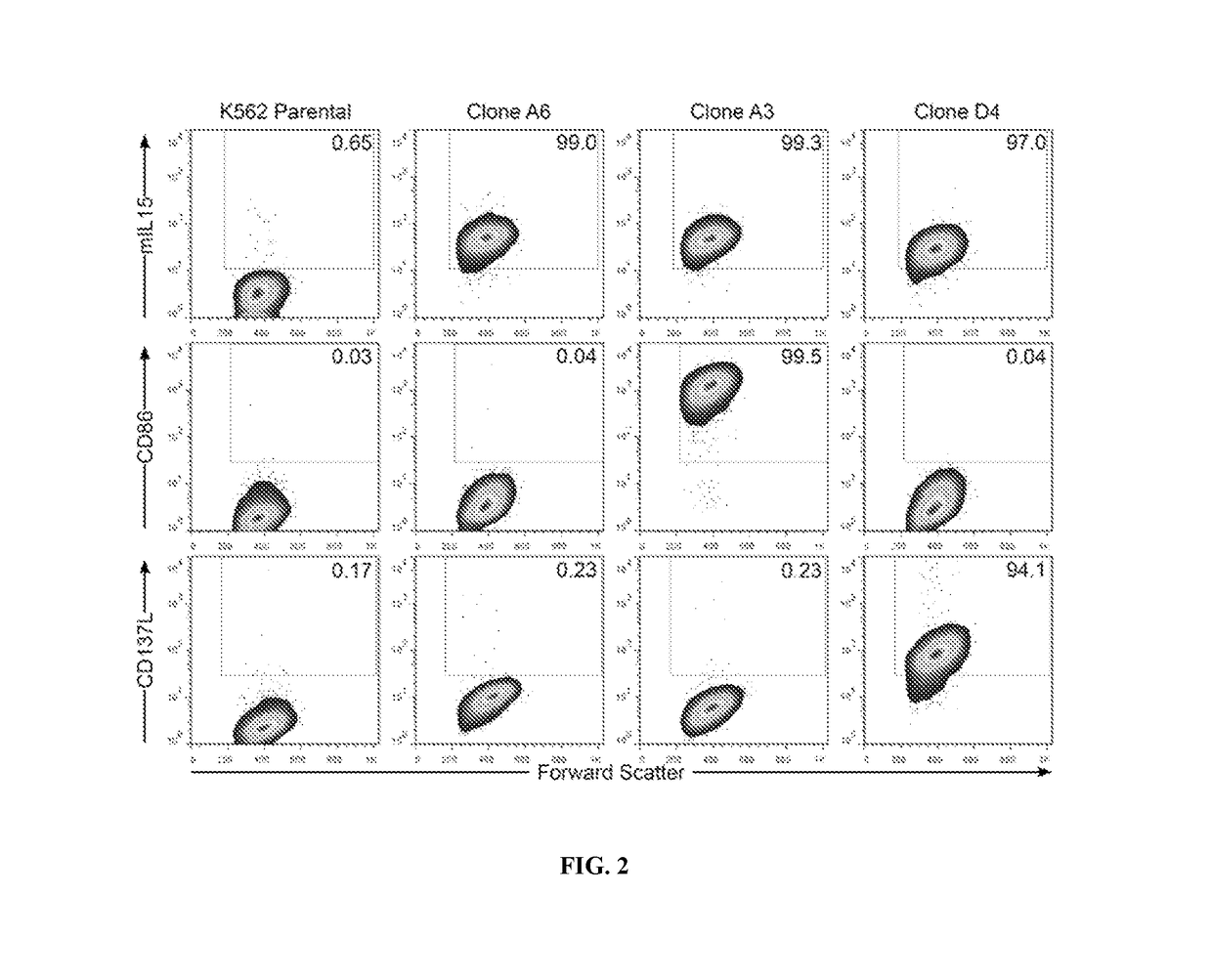 Polyclonal gamma delta T cells for immunotherapy