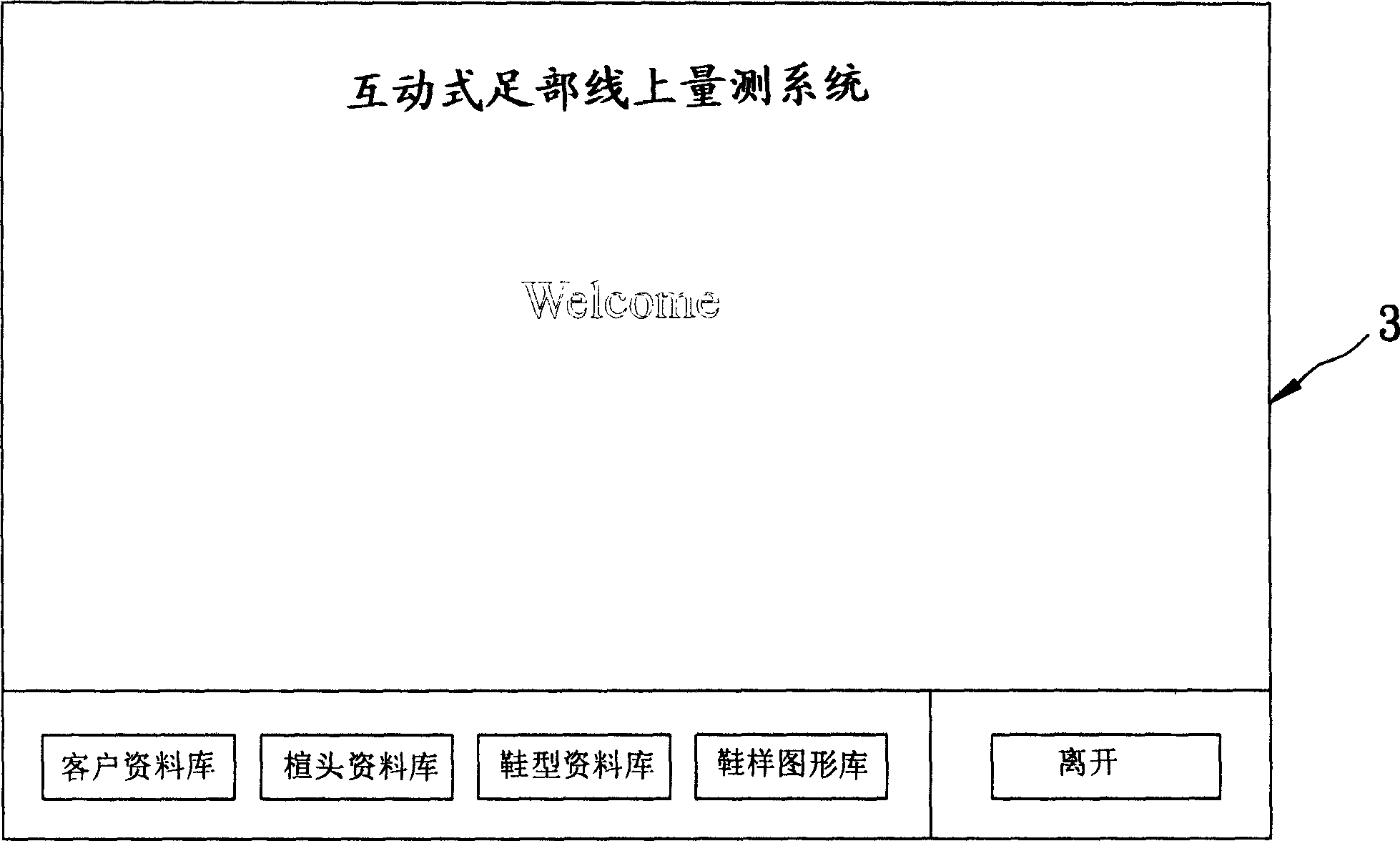 Interaction type online measuring system for foot region