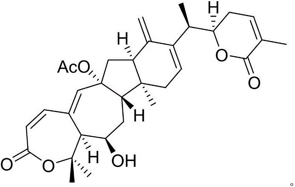 Pharmaceutical composition of ciclopirox olamine and medical application of pharmaceutical composition