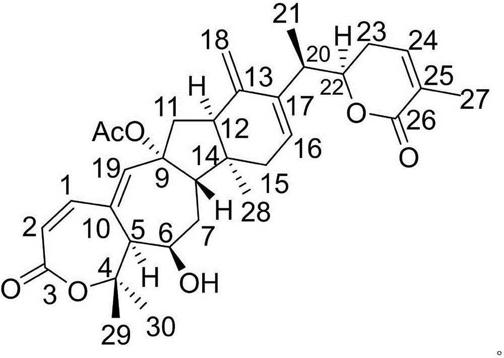 Pharmaceutical composition of ciclopirox olamine and medical application of pharmaceutical composition