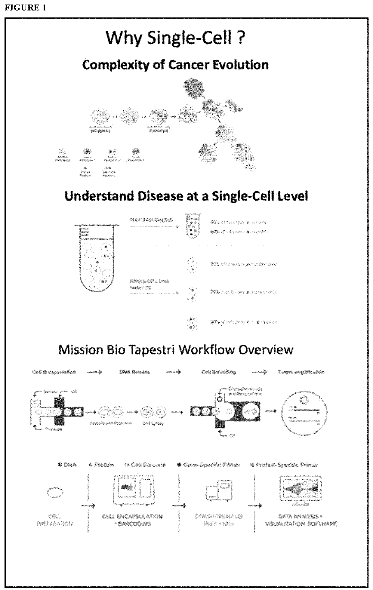 Method and systems to characterize tumors and identify tumor heterogeneity