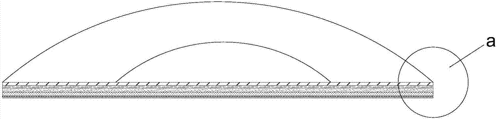 Long-horned beetle anti-escaping device and prevention and control method thereof