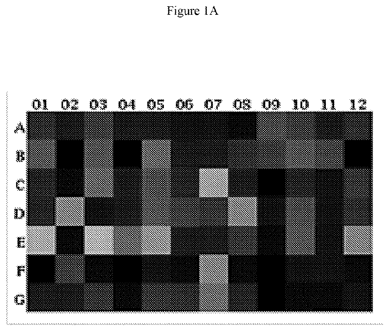 Hematopoietic stem cells in combinatorial therapy with immune checkpoint inhibitors against cancer