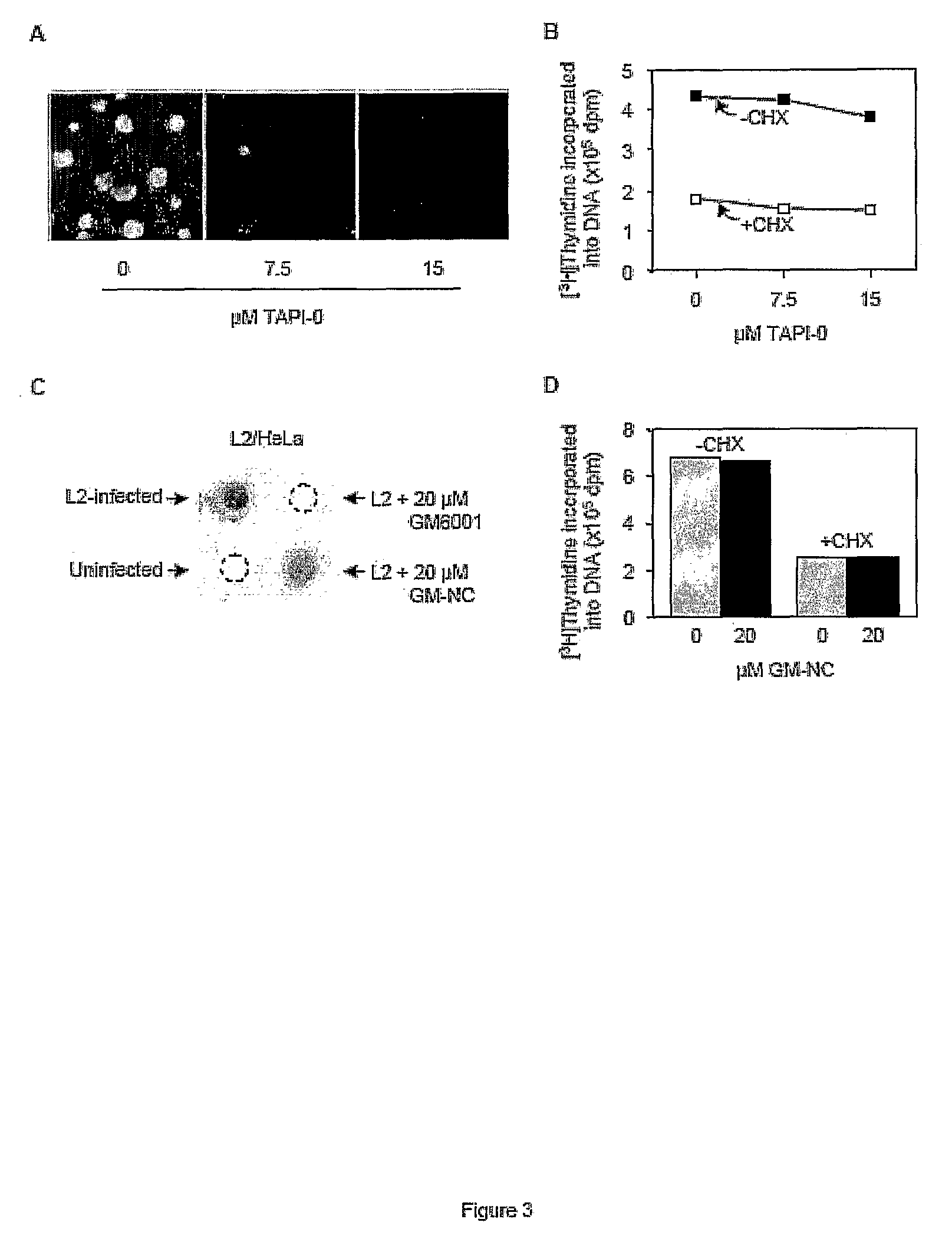 Non-antibiotic intervention of chlamydial infection