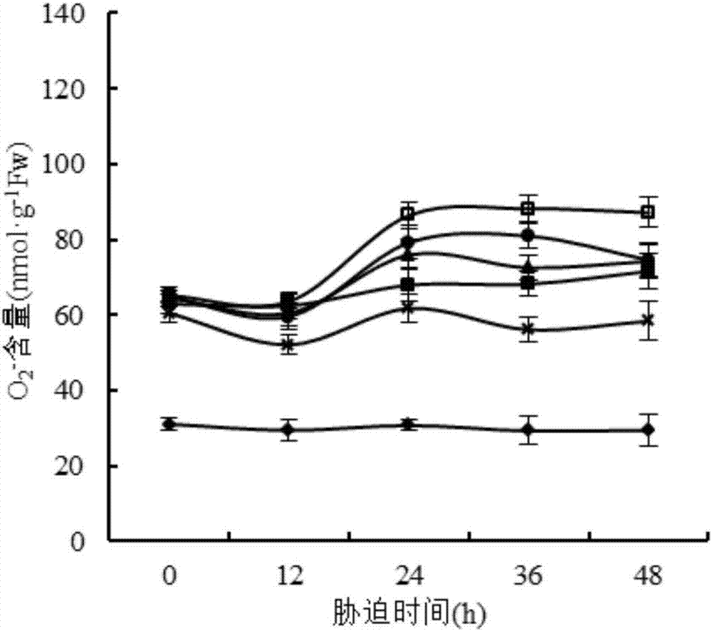 Use of γ-aminobutyric acid to improve salt stress tolerance of corn