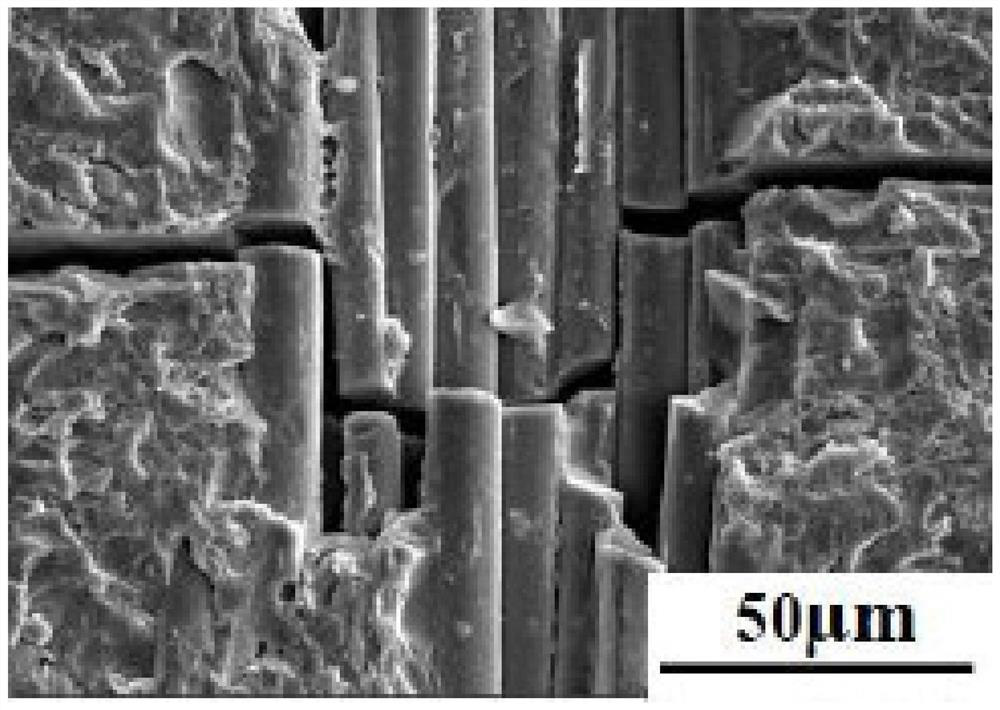 A kind of preparation method of nano-titanium dioxide/sulfur-doped modified fiber body composite material