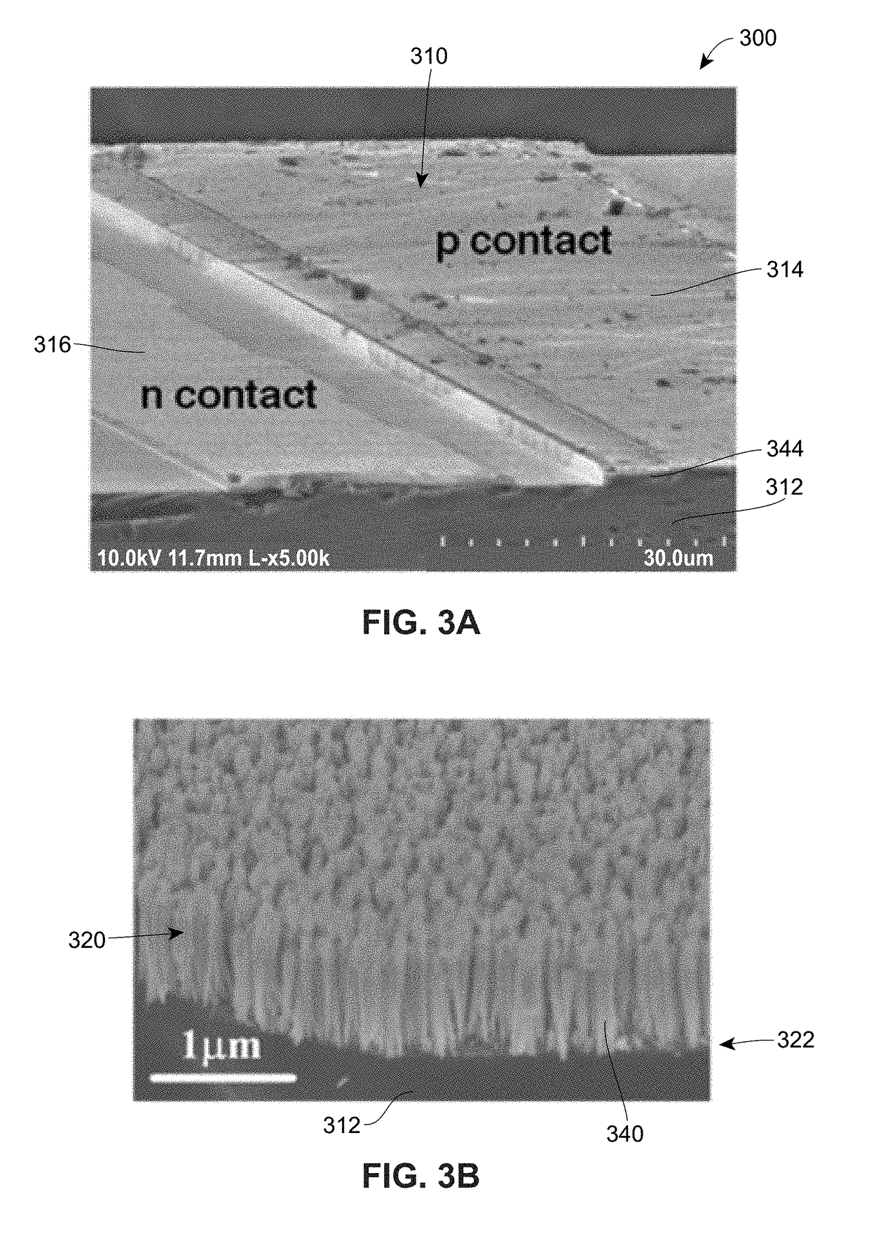 Iii-nitride nanowire array monolithic photonic integrated circuit on (001)silicon operating at near-infrared wavelengths