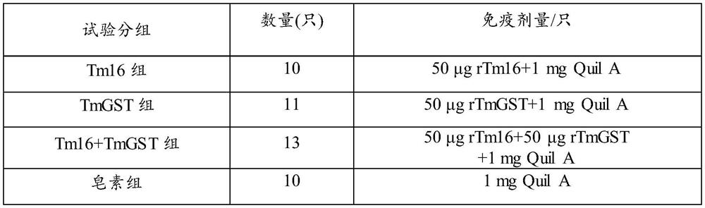 A kind of immunoprotective combination protein and immune vaccine thereof