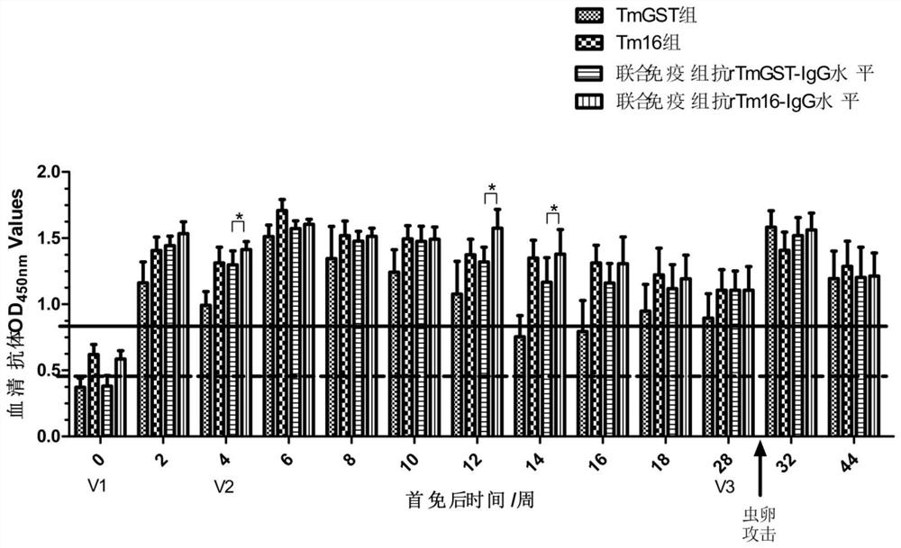 A kind of immunoprotective combination protein and immune vaccine thereof