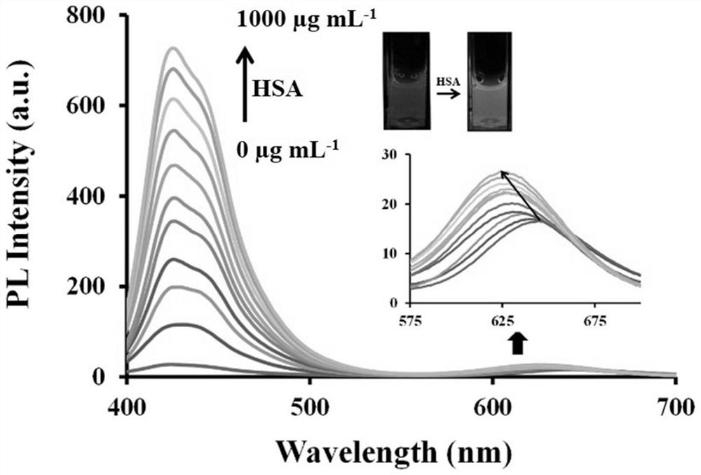 A cationic conjugated polymer and ratiometric fluorescent probe based thereon, preparation method and application