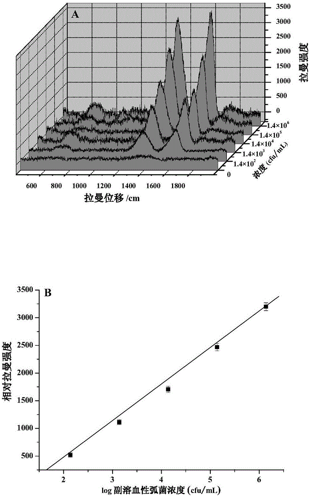 Vibrio parahaemolyticus detection method based on graphene oxide/ferroferric oxide/colloidal gold composite nanoparticle enhanced Raman effect