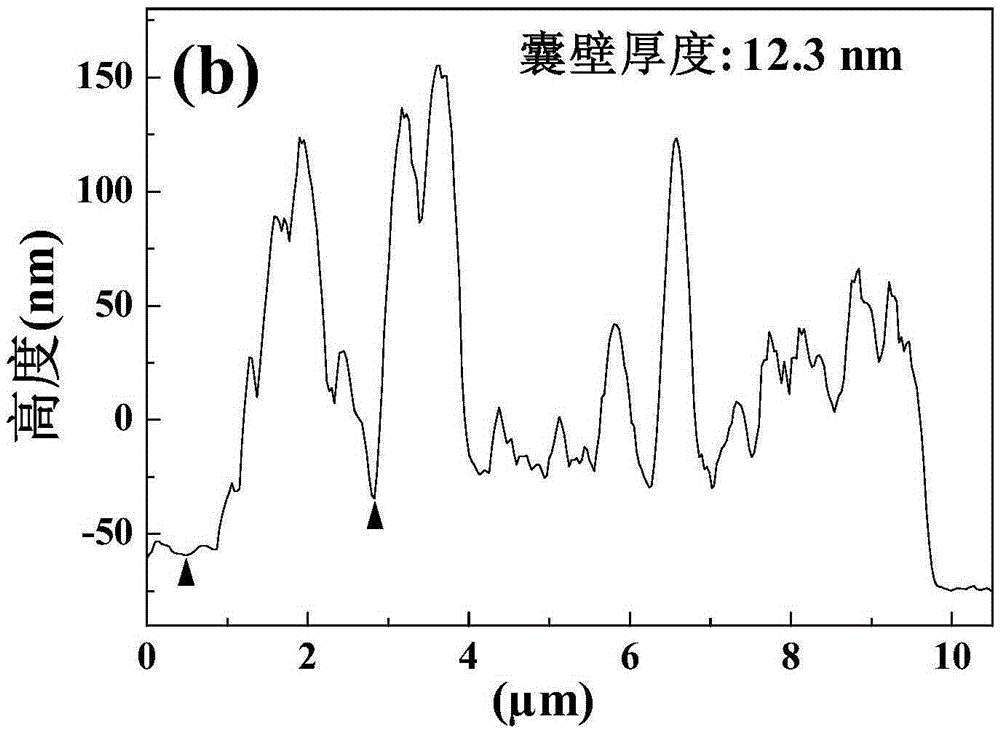 Preparation method for polyallylamine-silicon oxide hybrid microcapsule with nano-scale capsule wall thickness