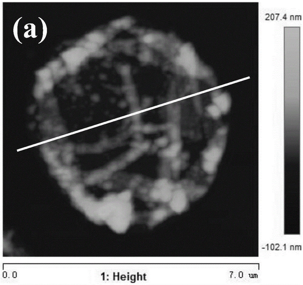 Preparation method for polyallylamine-silicon oxide hybrid microcapsule with nano-scale capsule wall thickness