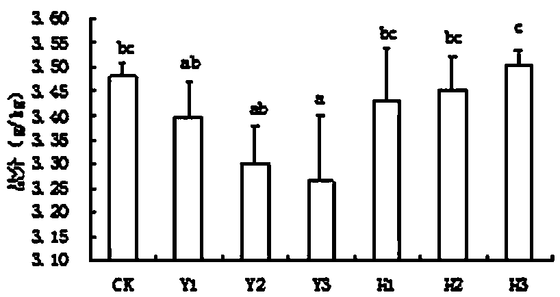 Dry farming cultivation method for amaranthus hypochondriacus in moderate-severe saline-alkali soil