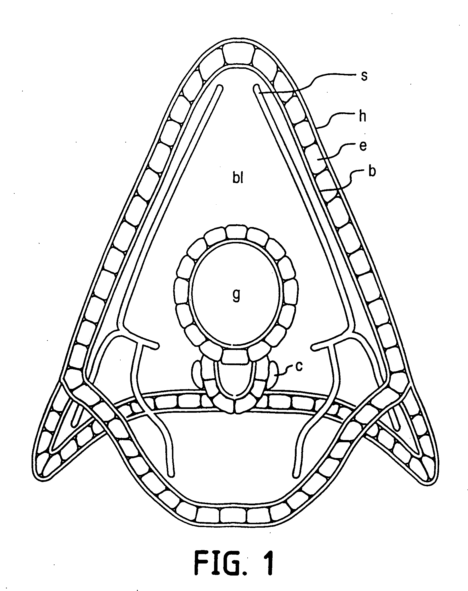 Anticancer compounds and methods