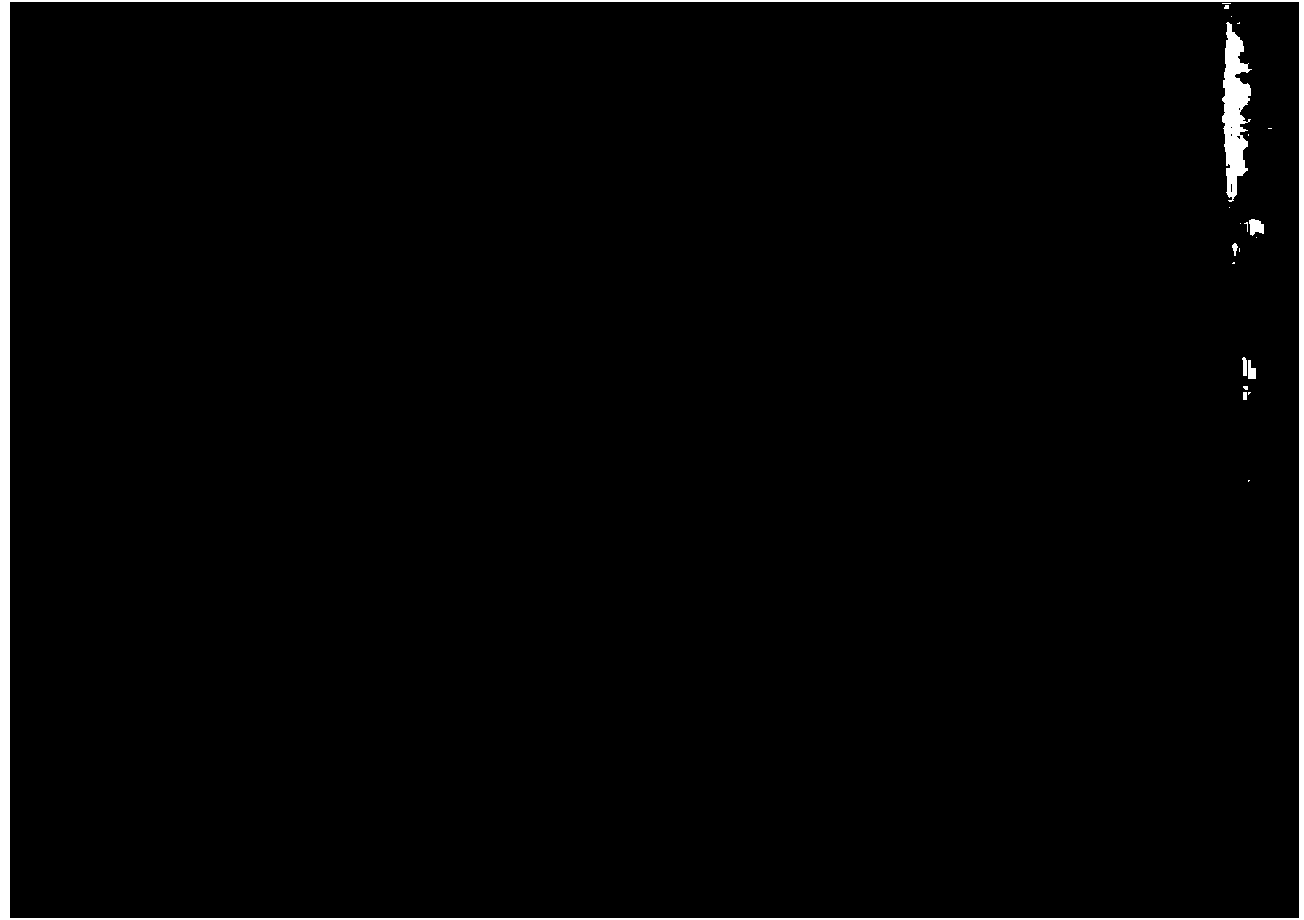 Cerate composite additive and solidification liquid for copper foil surface solidification treatment and application method of cerate composite additive and solidification liquid