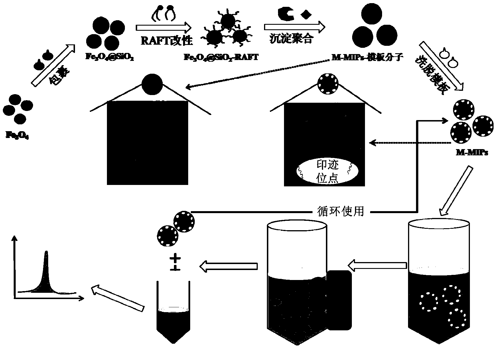 Method for preparing estradiol molecularly imprinted magnetic microsphere