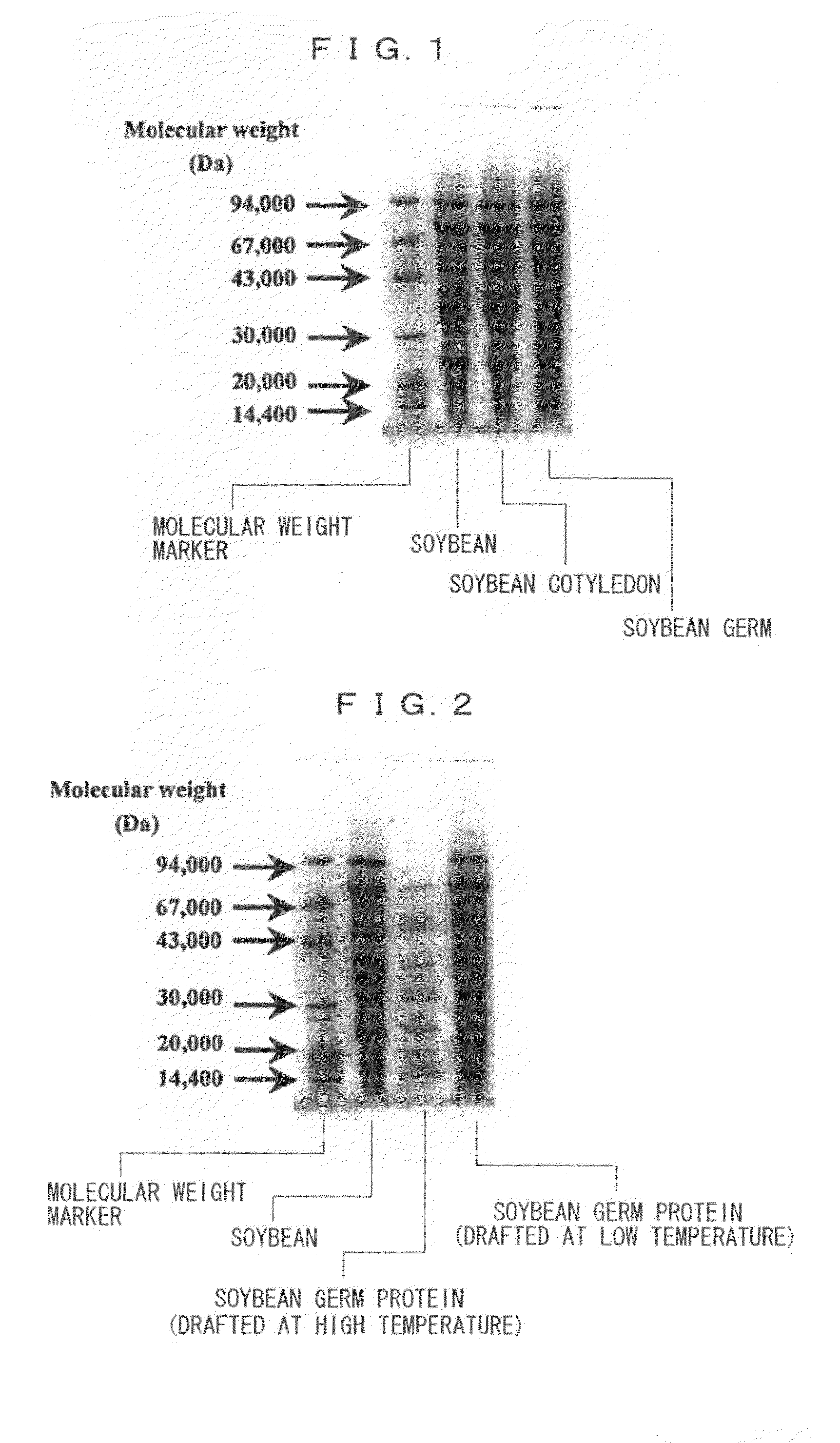 Composition for Preventing and Improving Metabolic Syndrome