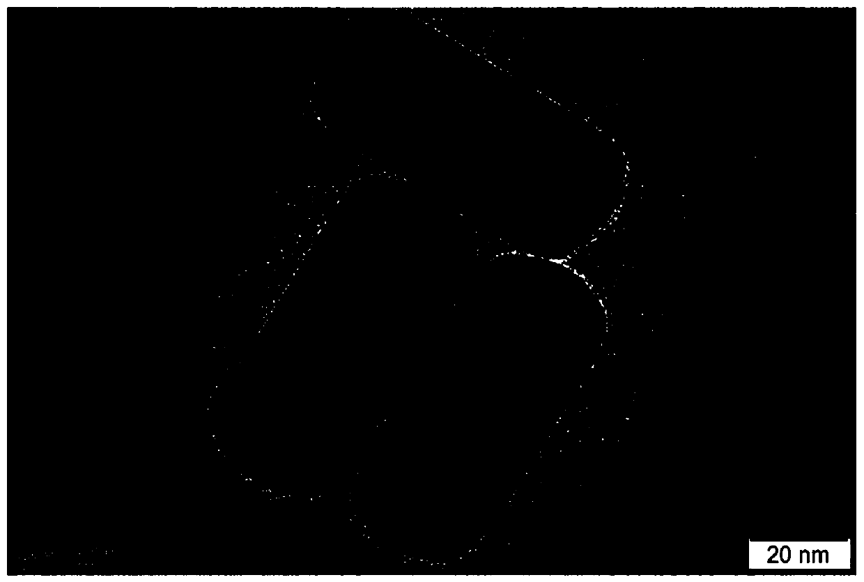 Method for rapidly detecting T-2 toxin in food based on nucleic acid hydrogel