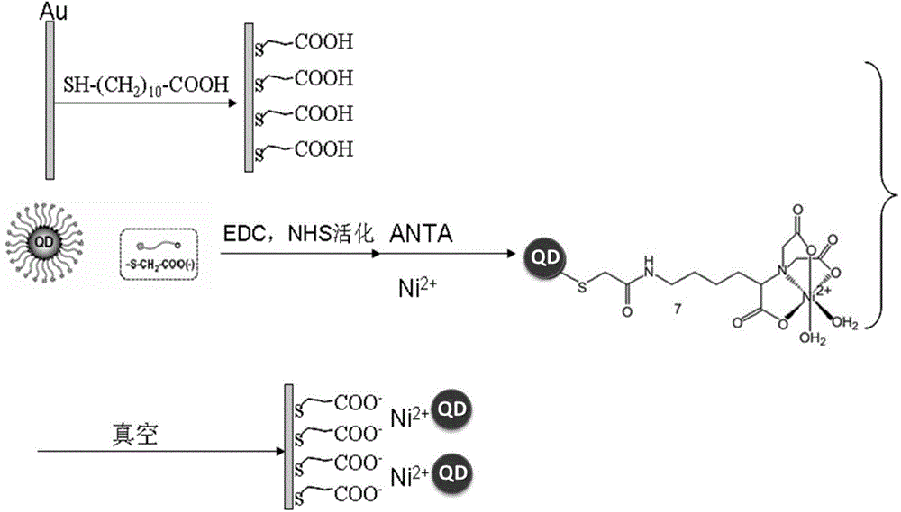 Preparation method of quantum dot self-assembled film