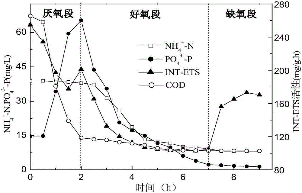 Method for detecting influence of Cu2+ on electron transfer system of SBR technology