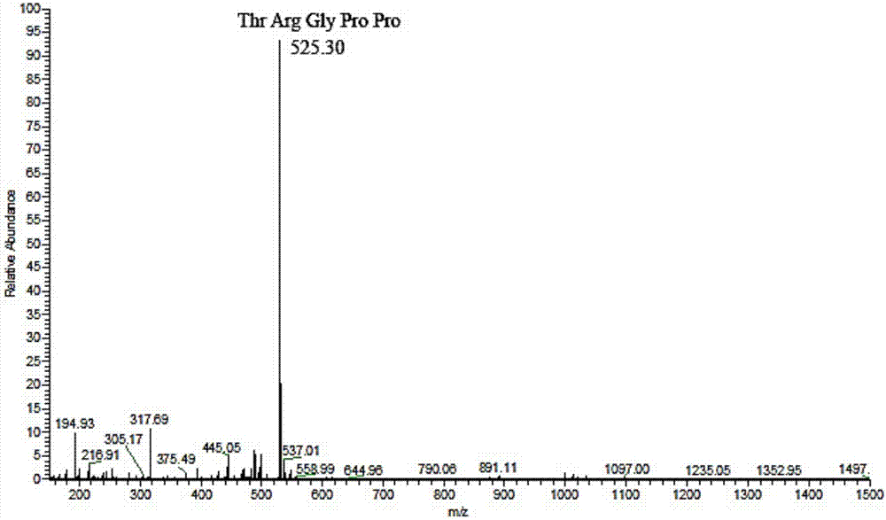 Urechis unicinctus biological active peptide and preparation method thereof