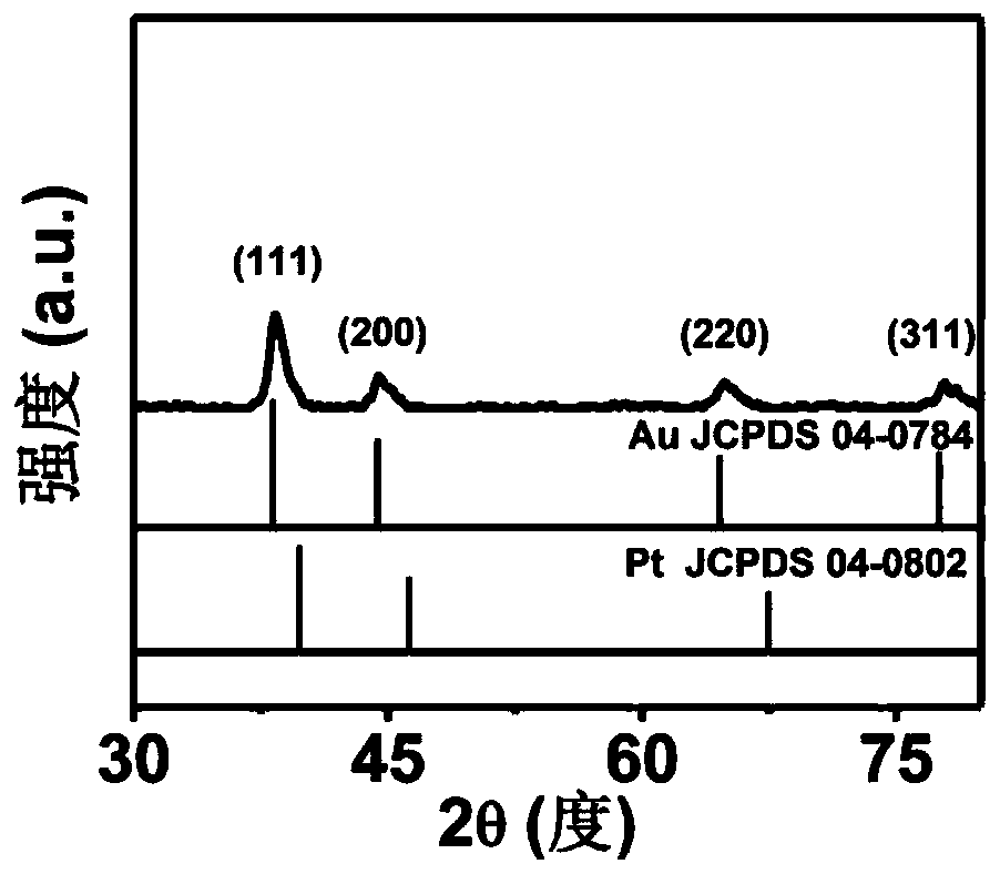 Preparation method and application of gold-platinum composite nanometer diagnosis and treatment agent