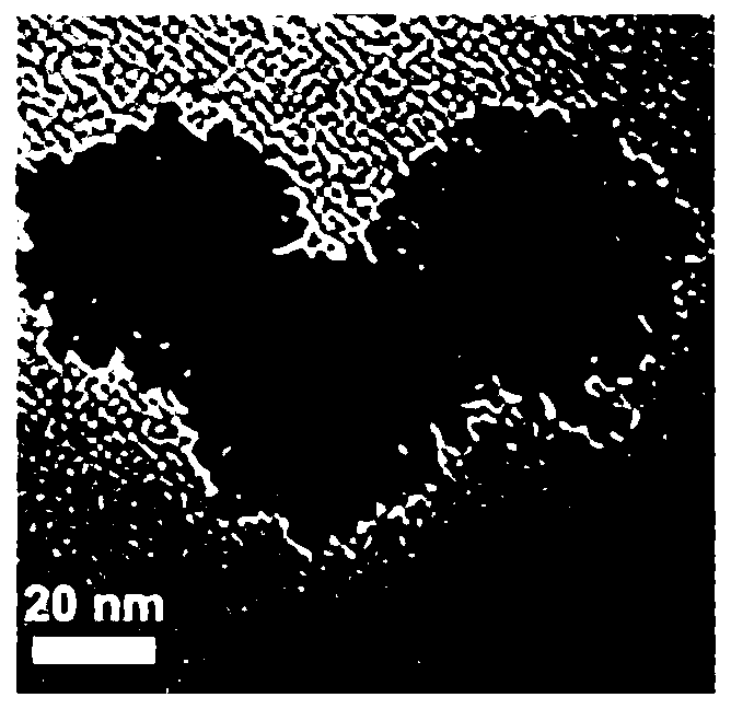 Preparation method and application of gold-platinum composite nanometer diagnosis and treatment agent