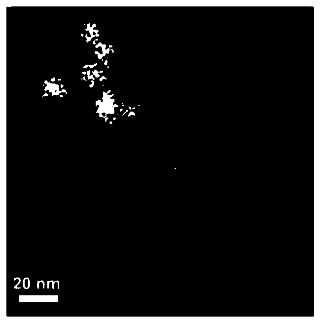 Preparation method and application of gold-platinum composite nanometer diagnosis and treatment agent