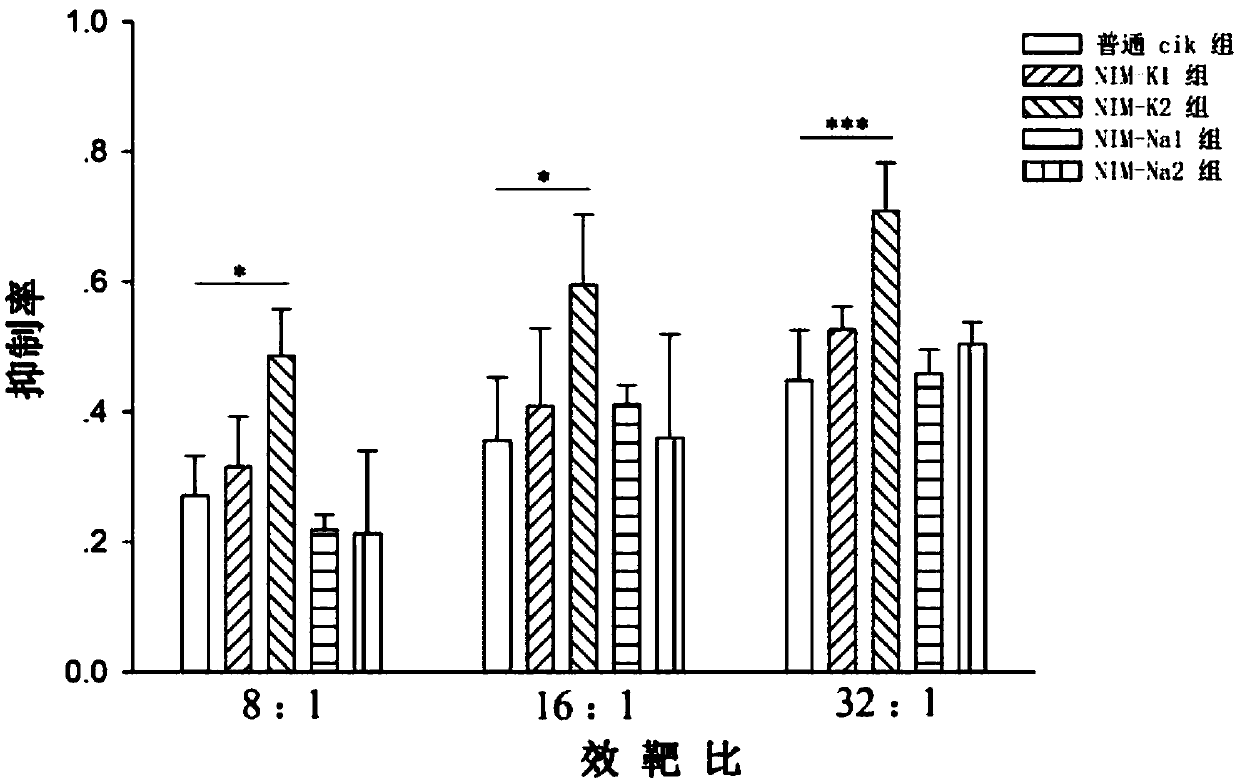 Nimesulide derivatives and preparation method and application thereof