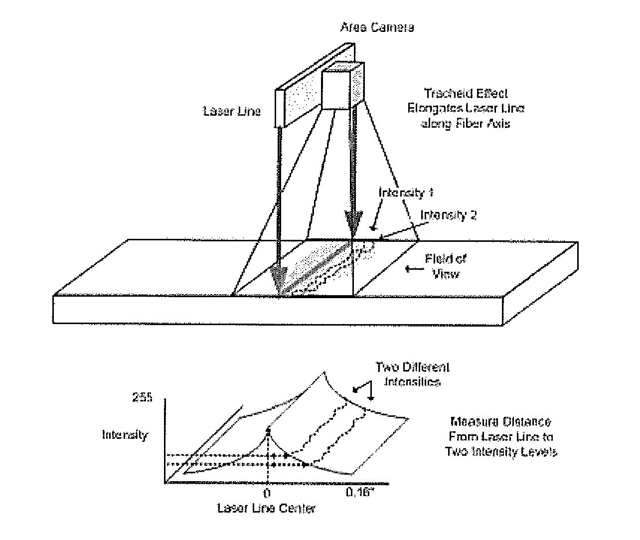 Methods for detecting compression wood in lumber