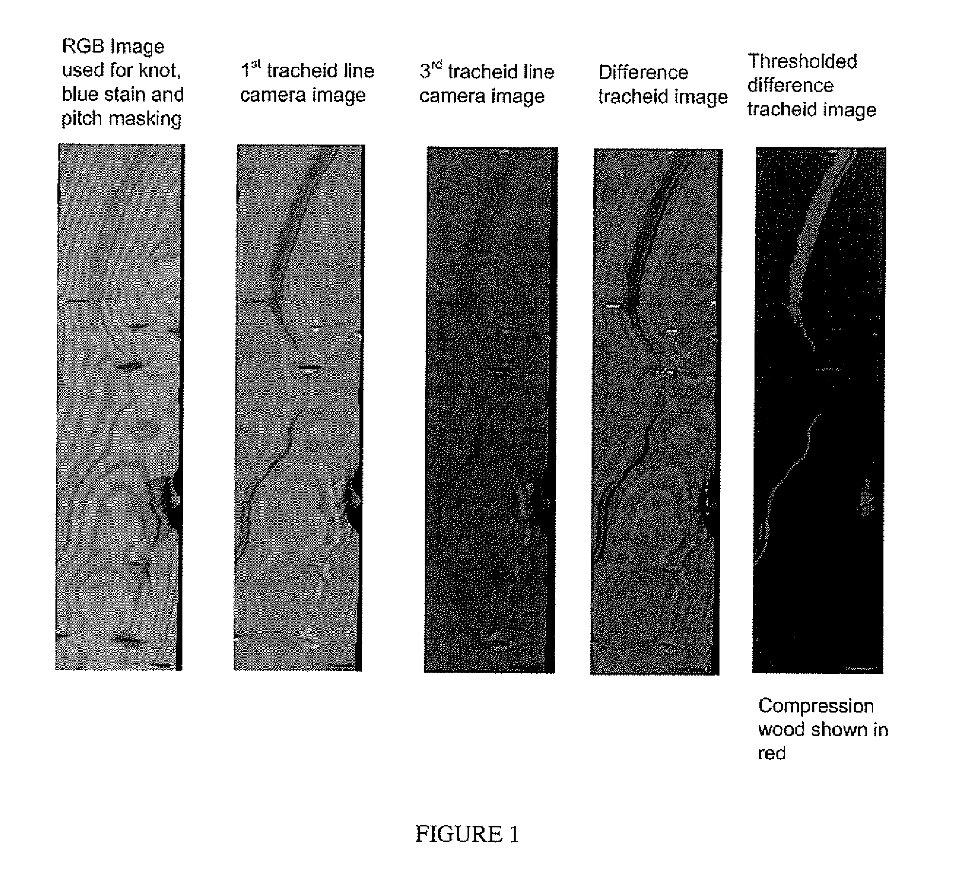 Methods for detecting compression wood in lumber