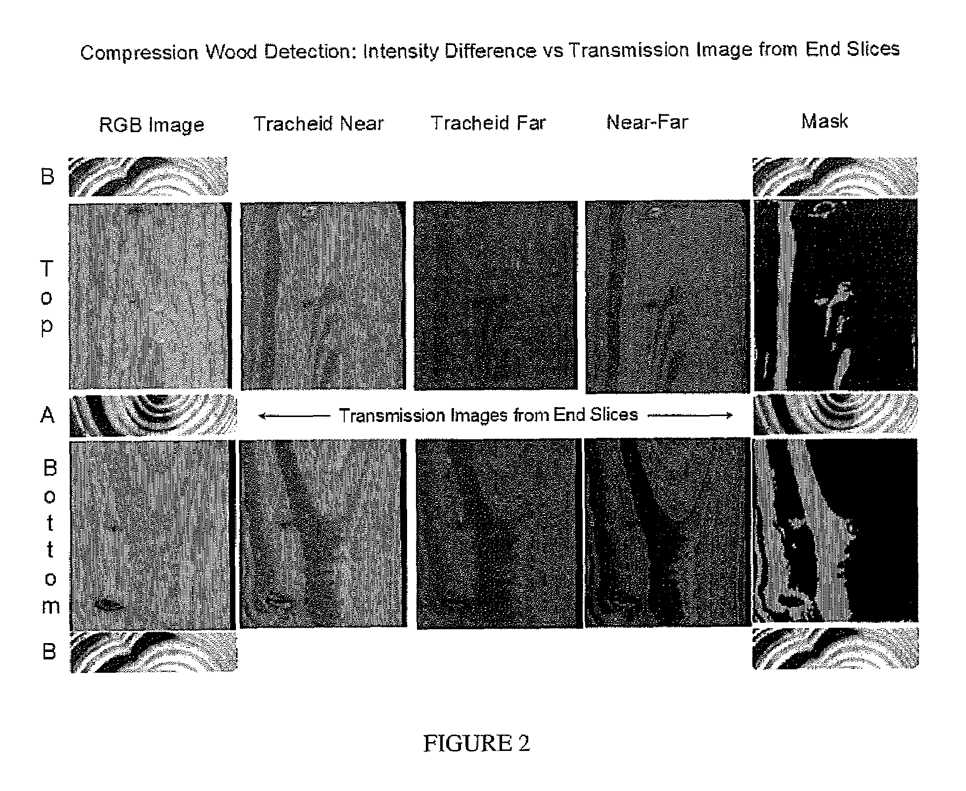 Methods for detecting compression wood in lumber