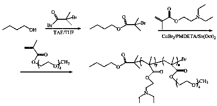 PH responsive polymer carrier, micelle prepared from same, preparation method and application