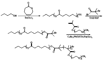 PH responsive polymer carrier, micelle prepared from same, preparation method and application