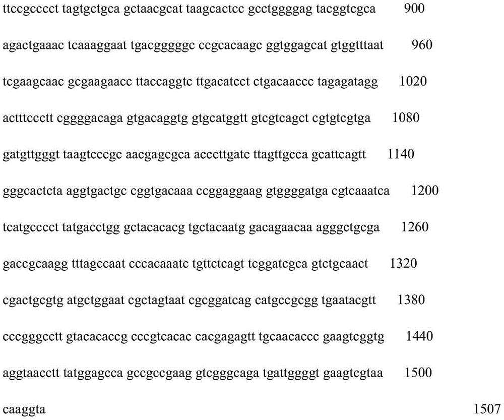 Bacillus pumilus strain and application thereof in apple alternaria leaf spot prevention and control