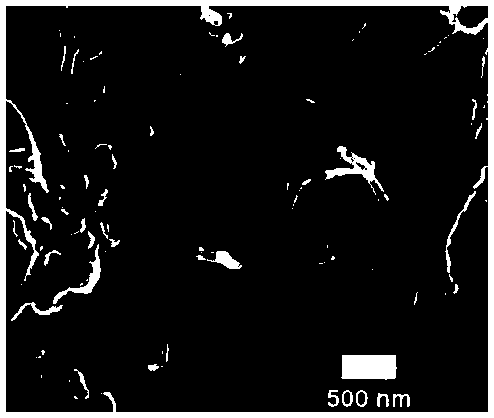 Conjugated trapezoidal polymer-carbon nanotube composite material as well as preparation method and application thereof